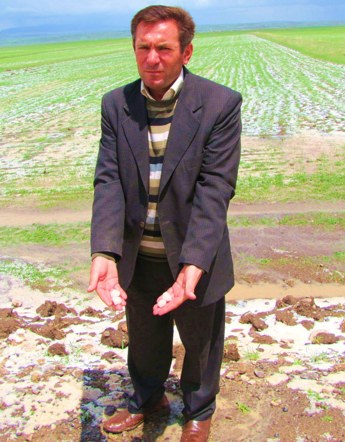Kars\'ta Dolu Tarım Arazilerini Vurdu
