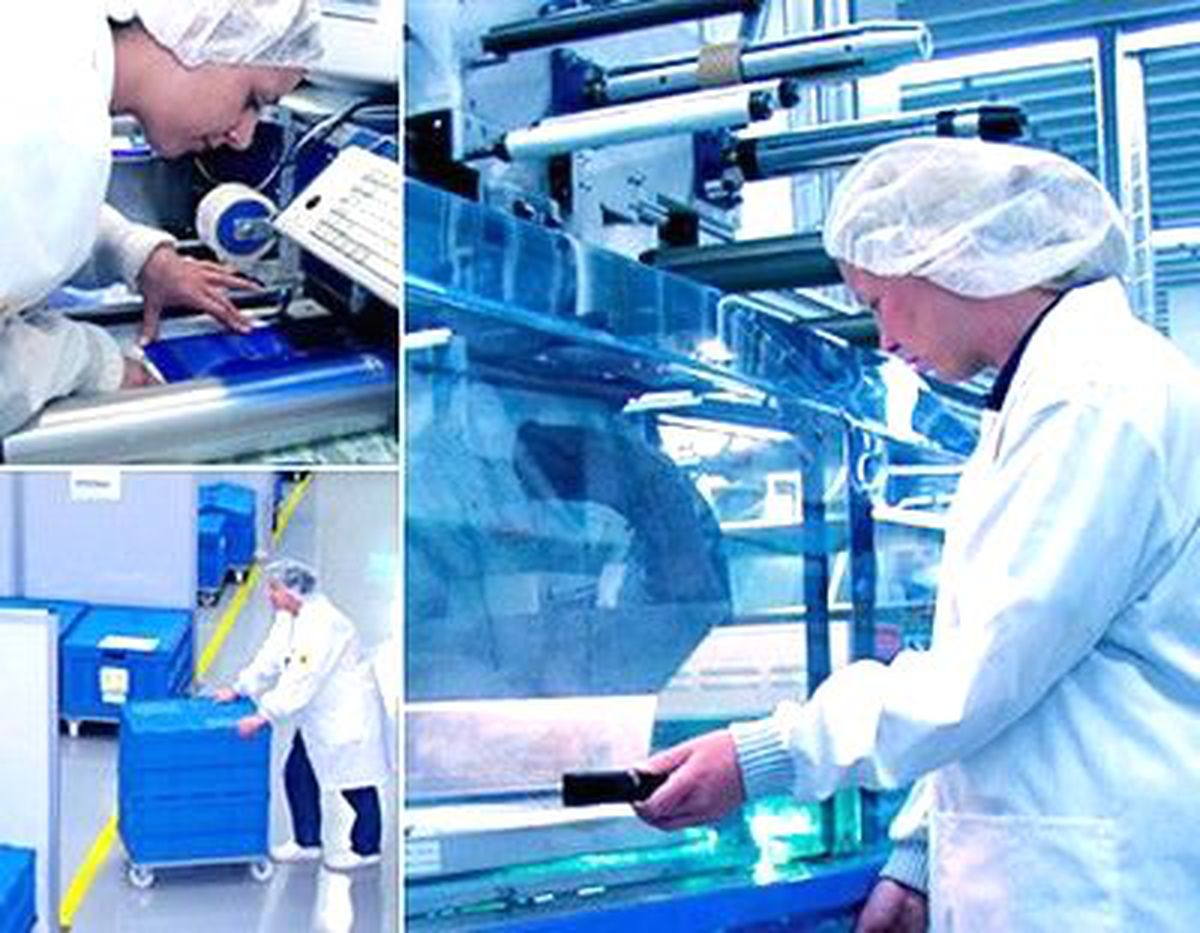 Lapiden Markasının Üreticisine, Gmp Belgesi