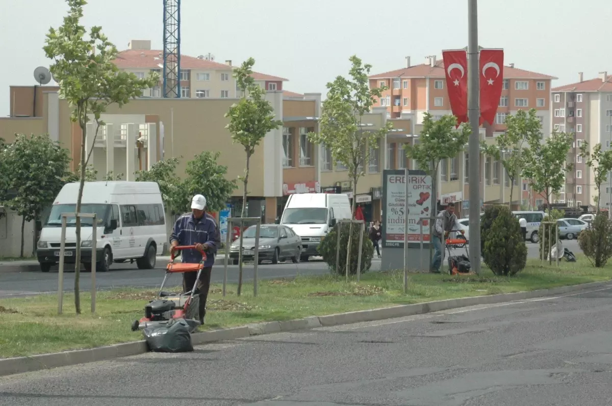 Park, Bahçe ve Refüjlere Yaz Bakımı