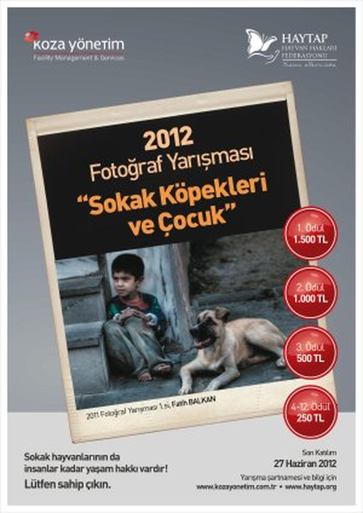Sokak Hayvanlarına Destek