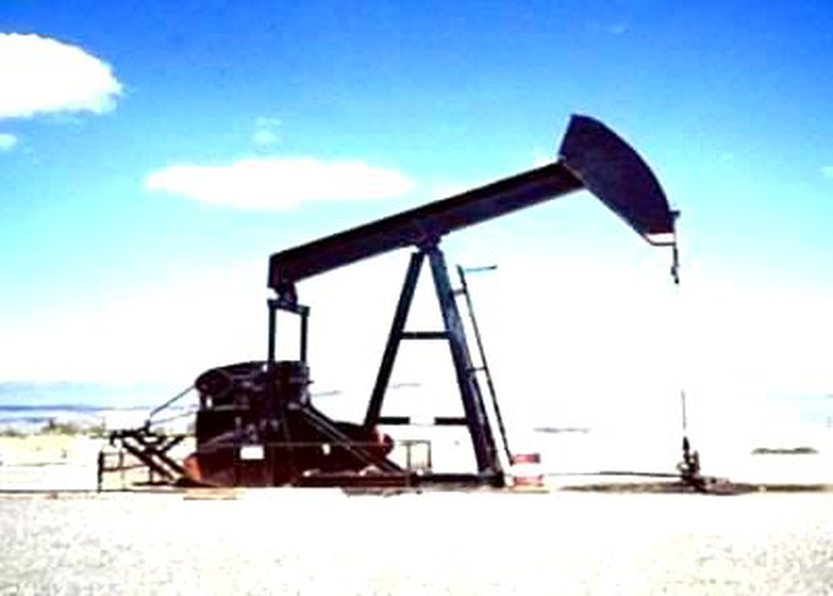 Tpao\'nun Petrol Arama Ruhsatına Uzatma
