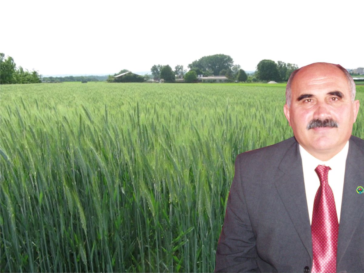 Yağışlar Uzunköprü Çiftçisini Sevindirdi