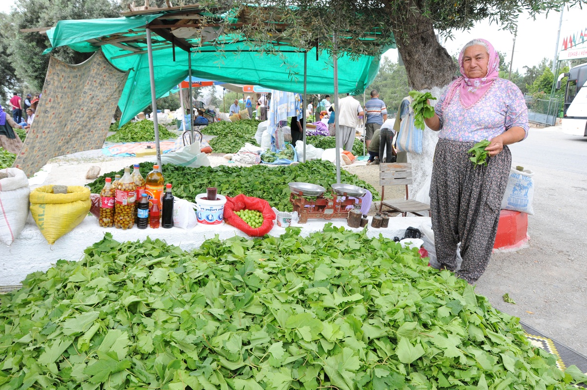 Asma Yaprağı Köylünün Geçim Kaynağı Oldu
