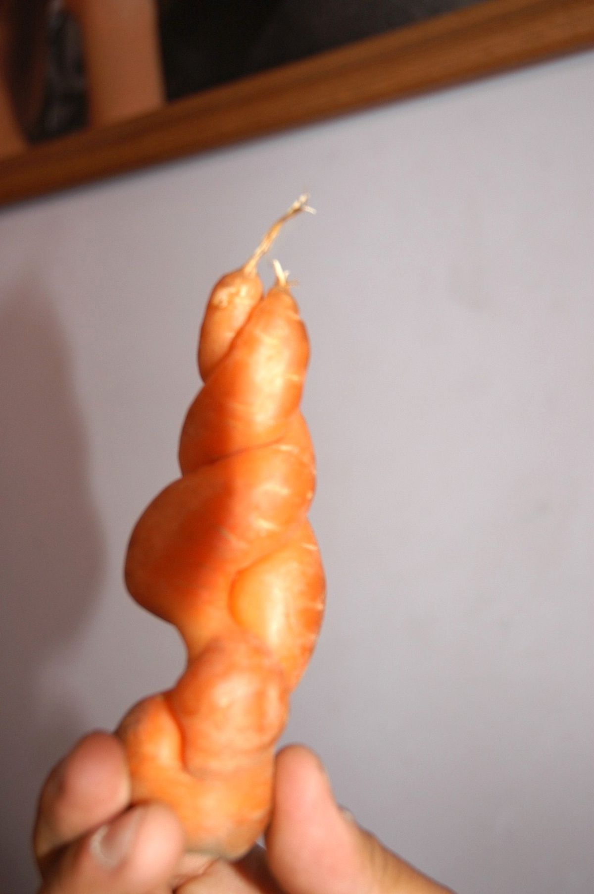 Bu da \'Havuç\' Aşkı