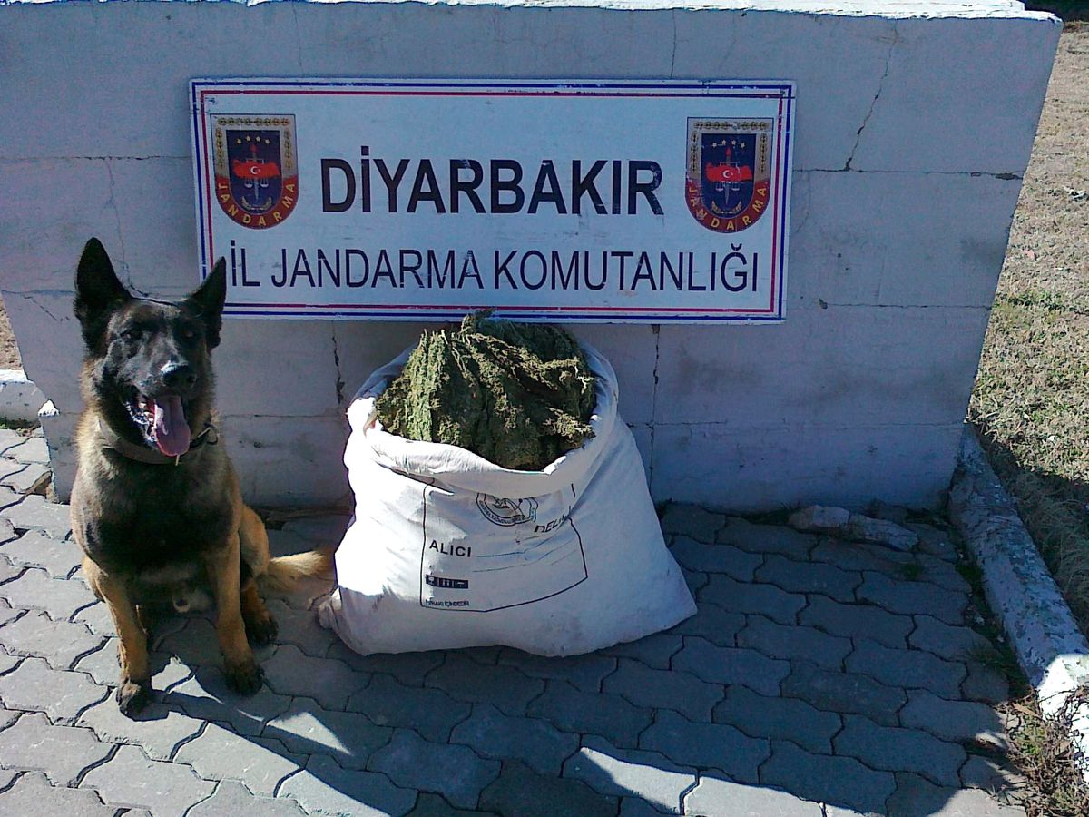 Diyarbakır\'da Esrar Operasyonu