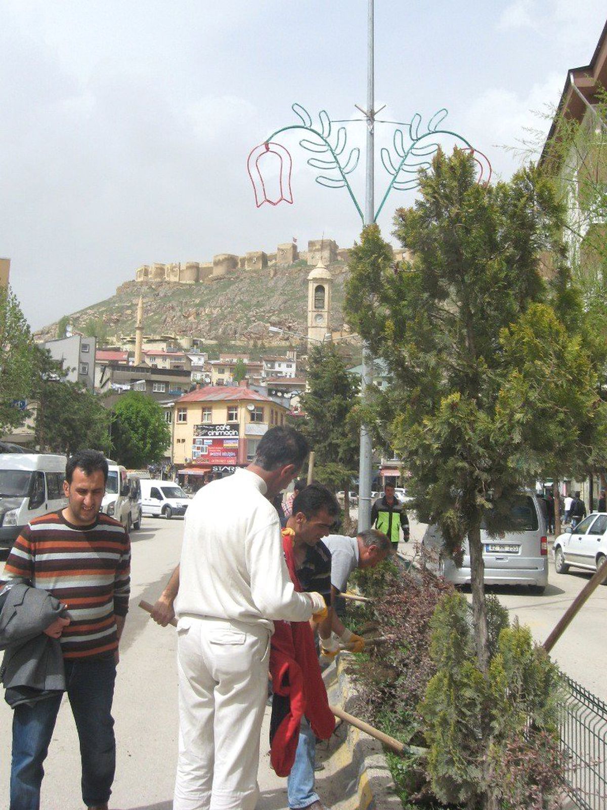 Orta Kaldırımlarda Kuruyan Ağaçlar Değiştirildi