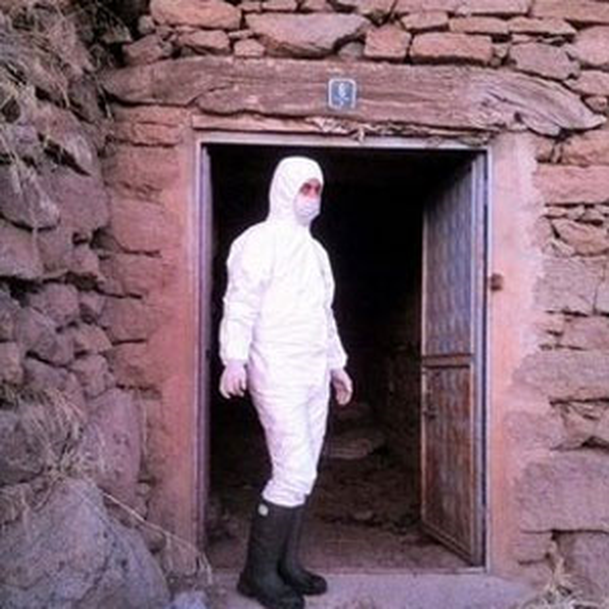 Sarıgöl Bağlıca Köyünde Kuduz Karantinası