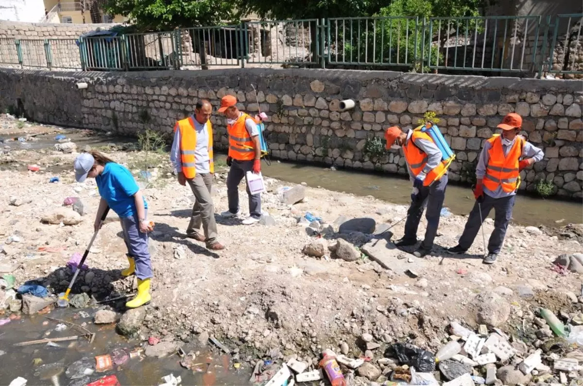Silopi Belediyesinden İlaçlama Çalışması