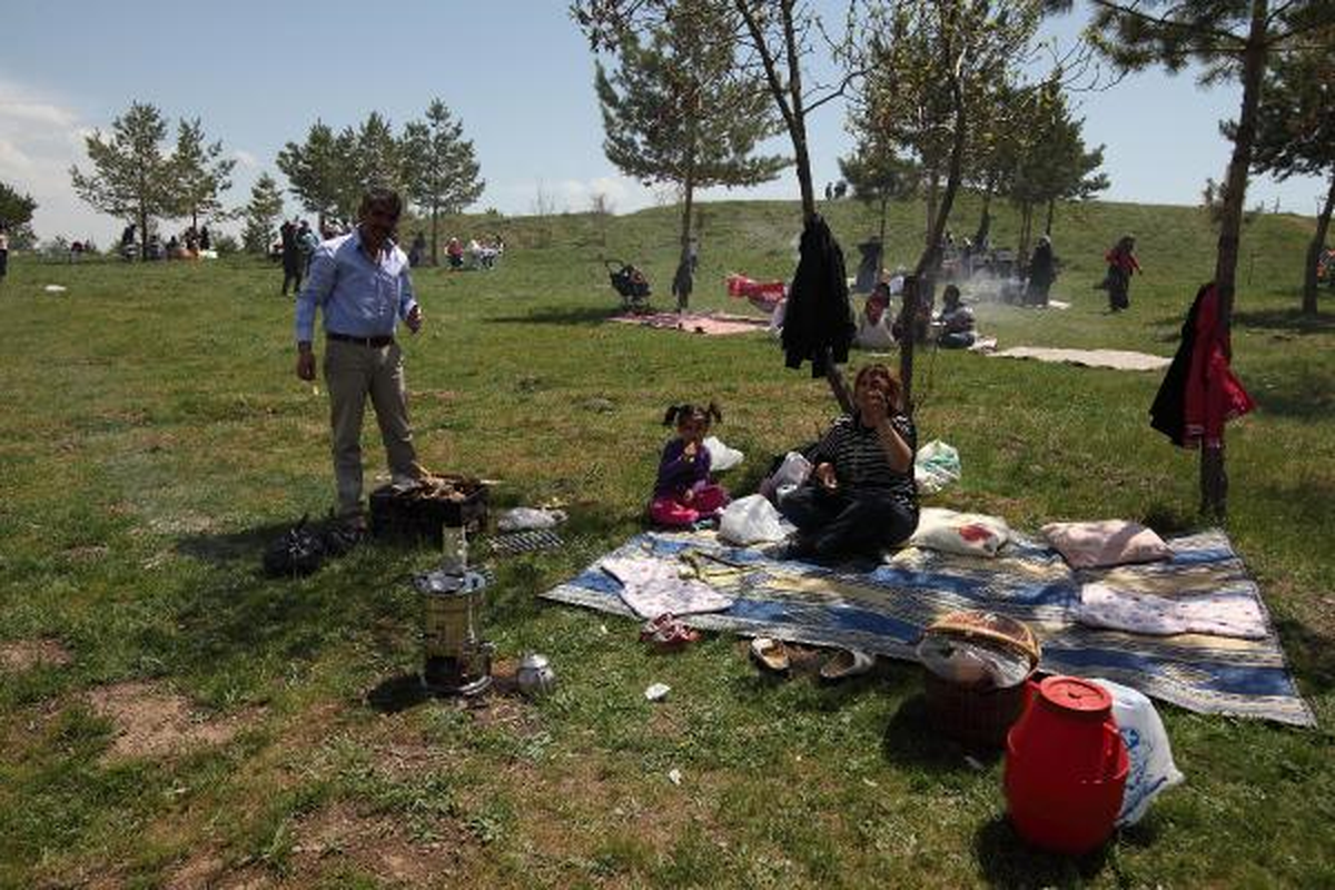 2 Milyar Balık Göçe Başladı