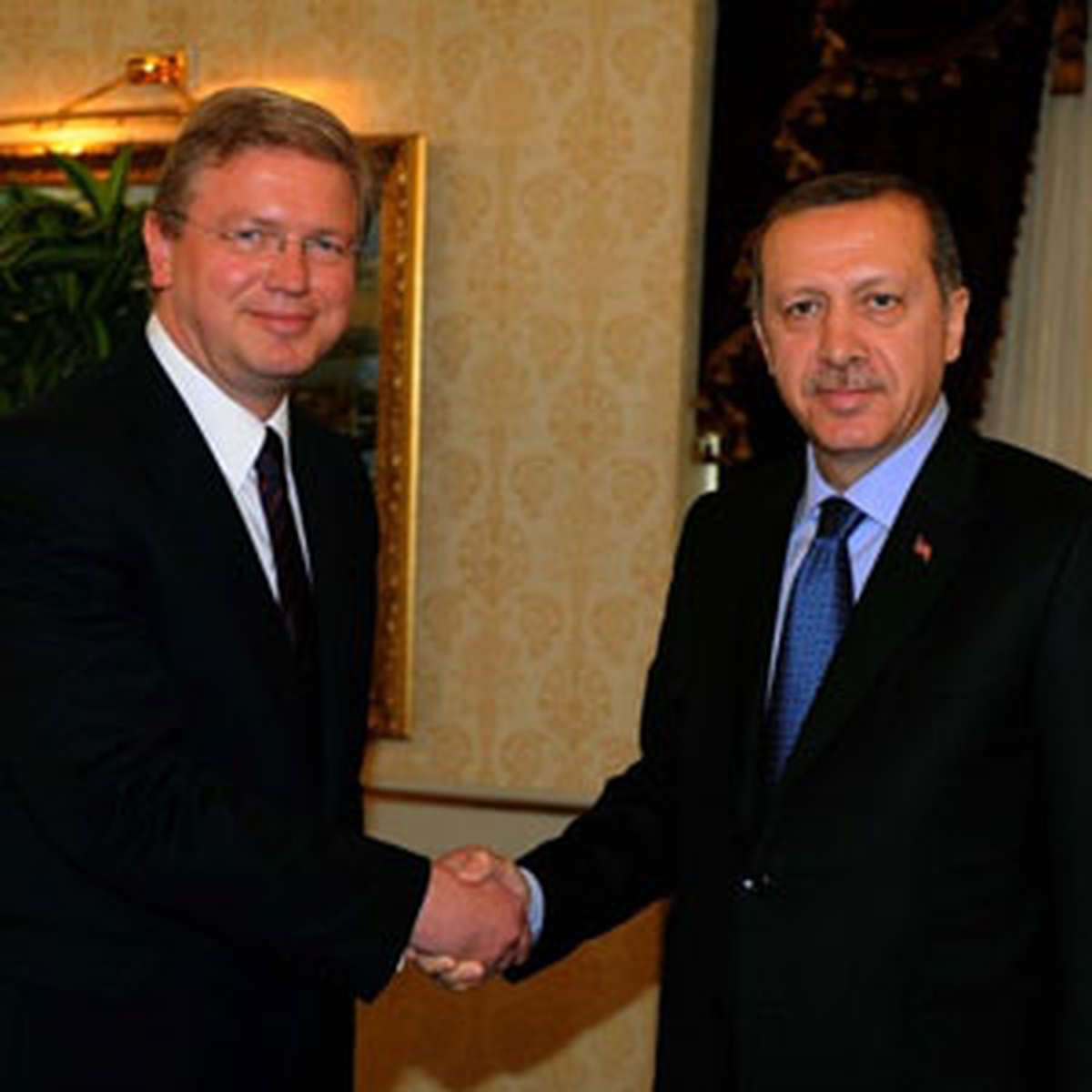 Başbakan Erdoğan, Füle'yi Kabul Etti