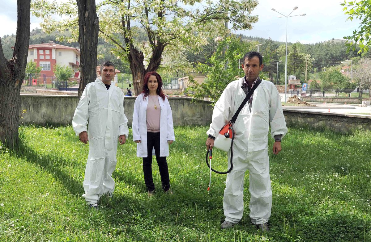 Belediye Keneye Karşı İlaçlama Çalışması Başlattı