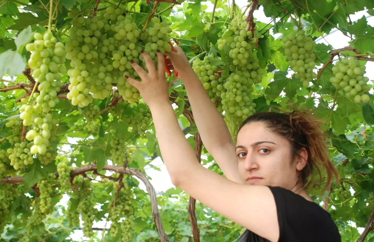 Bu Beldede İşsizlik Yok