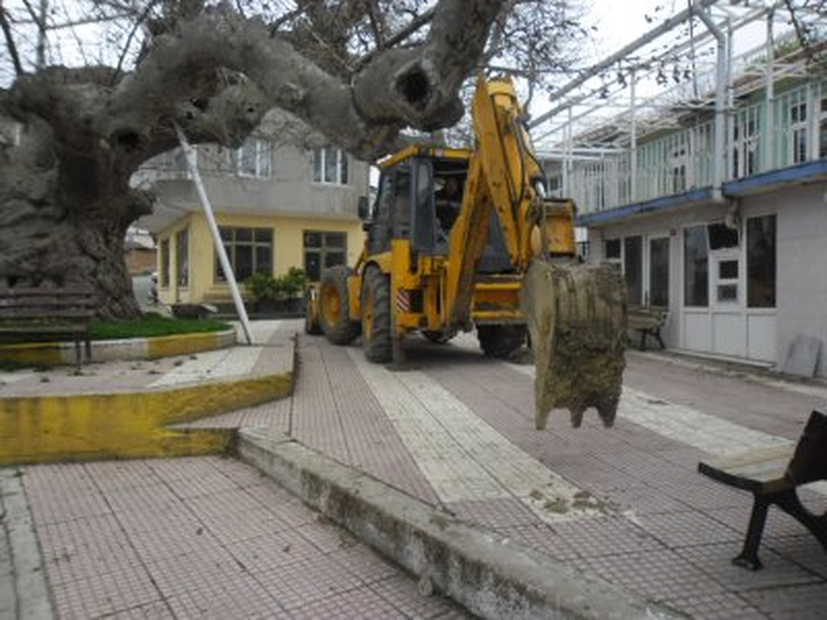 Çakıl\'daki Tarihi Çınarın Çevresi Düzenlendi
