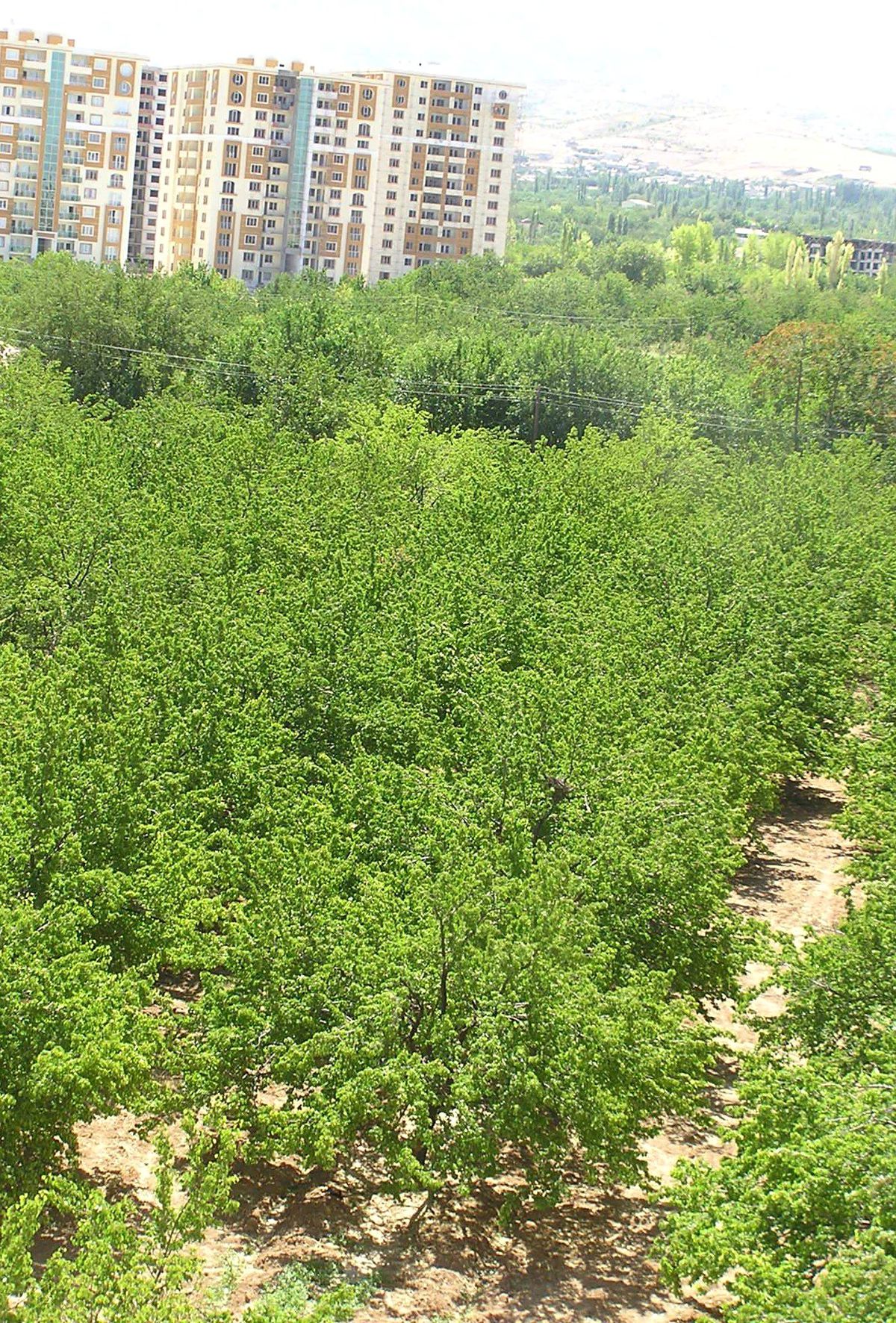 Çevre Düzeni Planı\'na İtiraz Edildi