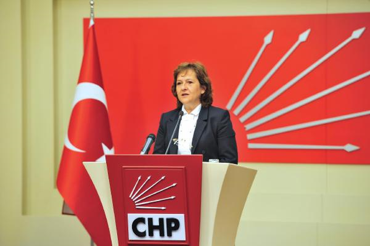 "Başbakan Erdoğan Özür Dilemeli"