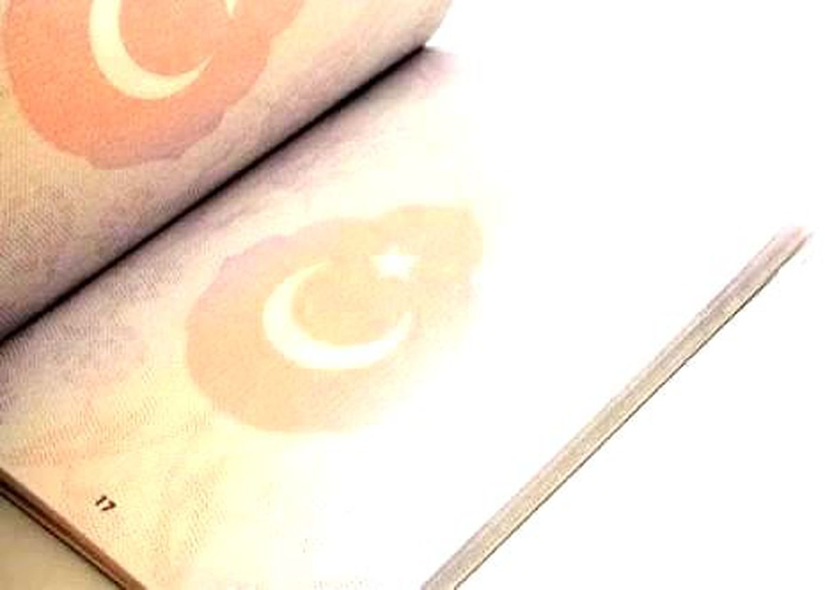 Çipli Pasaportta Türkiye Fransız'a Güvenmedi
