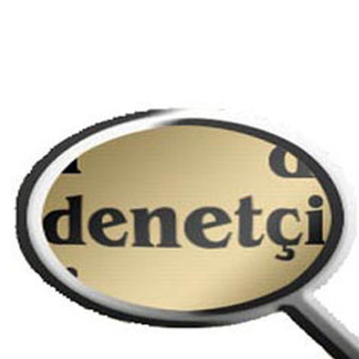 Kamu Denetçiliği Kurumu Kuruluyor