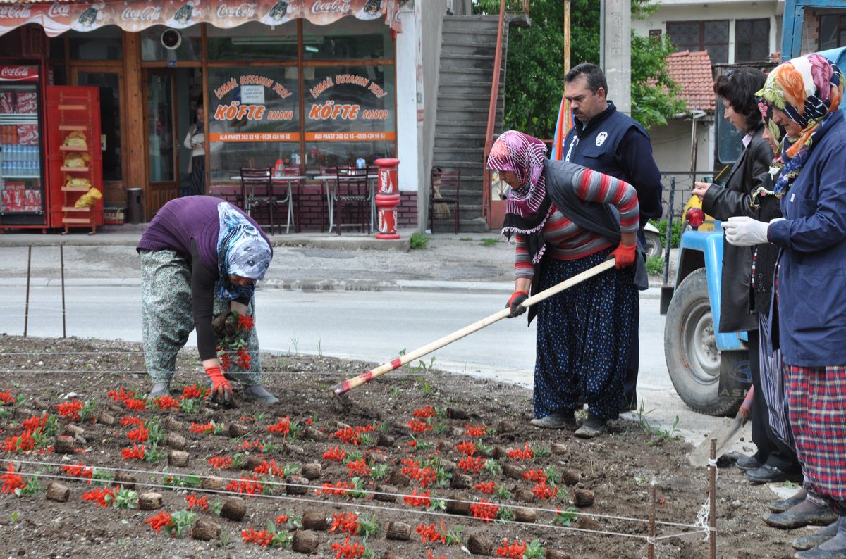 Karacasu Beldesi Yeşilleniyor