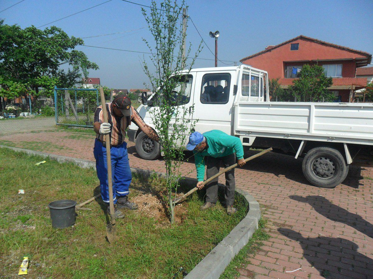 Kartepe Belediyesi Telaltı Parkı\'nda Çevre Düzenlemesi Yapıyor
