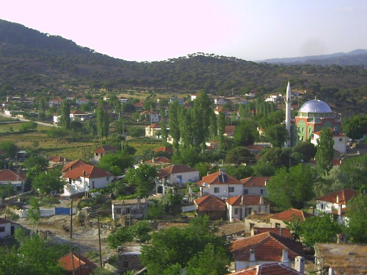 Söke Çavdar Köyü Karıştı