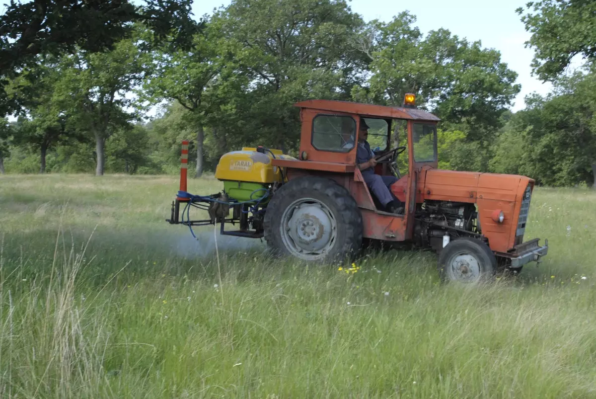 Belediye\'den Keneye Karşı Önlem