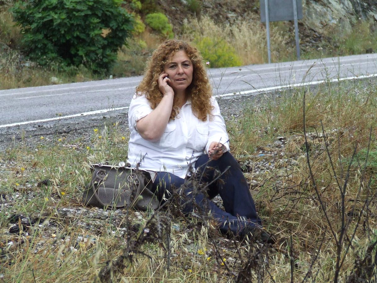Çam Ağacı Hayatını Kurtardı
