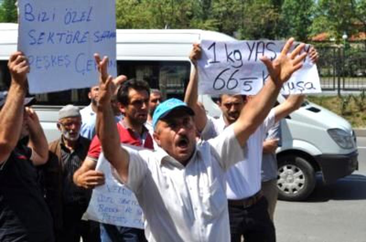 Çay Üreticilerinden Protesto