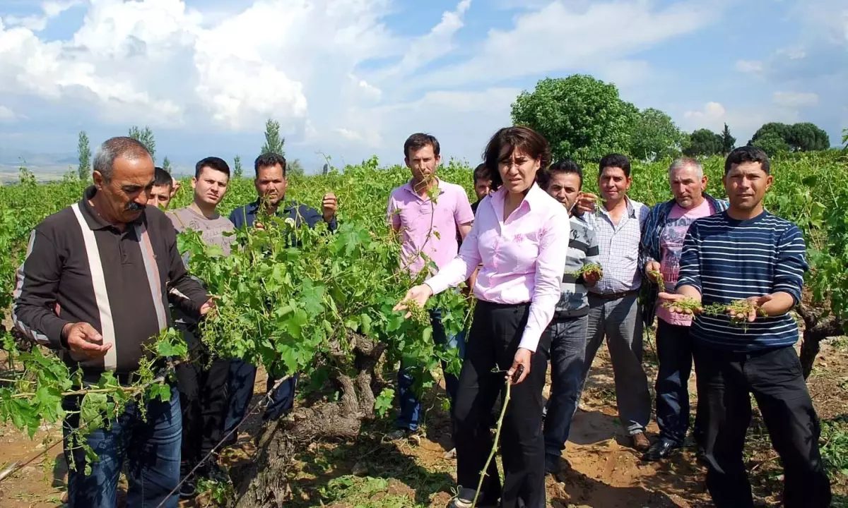 CHP\'li Öz, Dolu Felaketini Meclis Gündemine Taşıdı