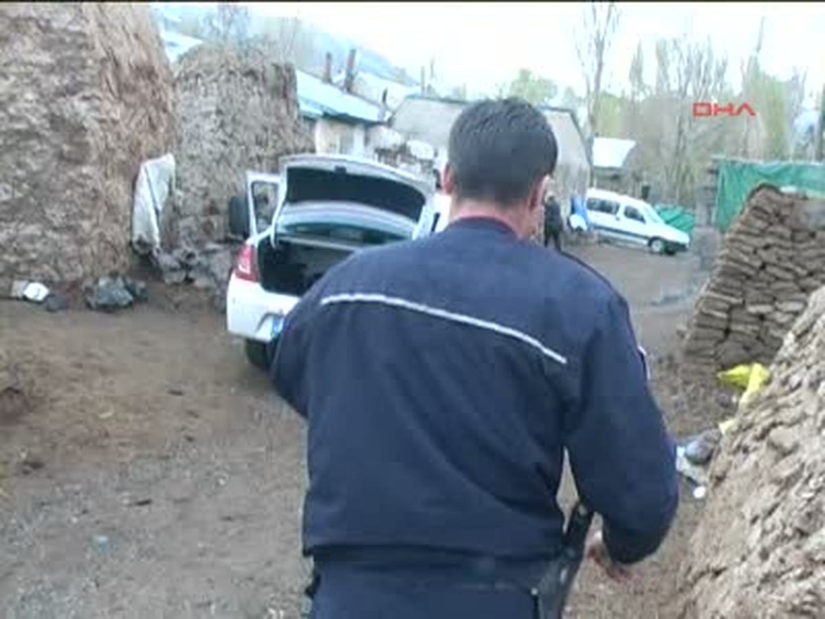 Çıkmaz Sokağın Aslan Bekçisi
