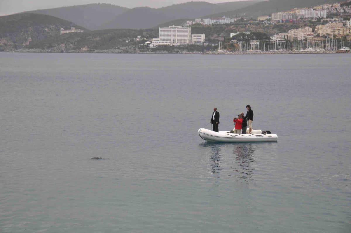 Kuşadası'nda Yunus Operasyonu