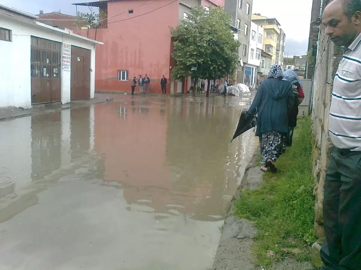 Lapsek\'i Yağmura Teslim