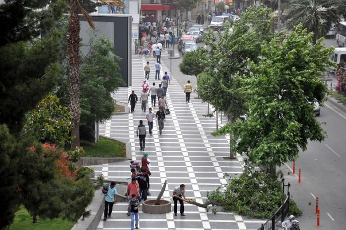 Şanlıurfa\'da Fırtına Ağaçları Kökünden Söktü