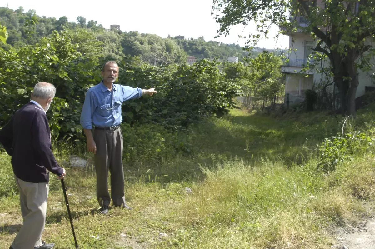 Ünye Saca Mahallesi'nin Kanalizasyon Sorunu