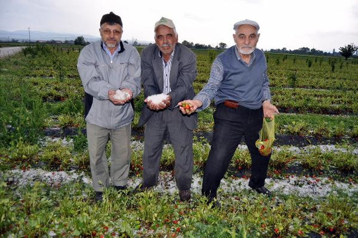 Yenişehir\'i Dolu Vurdu