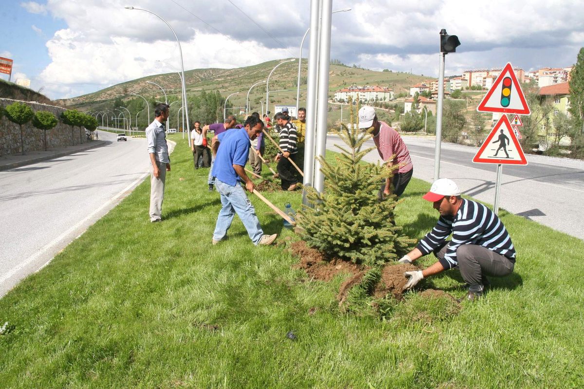 Akdağmadeni Belediyesi İlçe Girişini Yenilecek