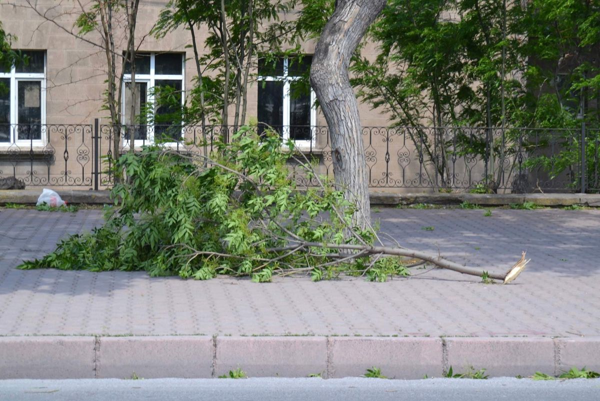 Kayseri Rüzgara Teslim