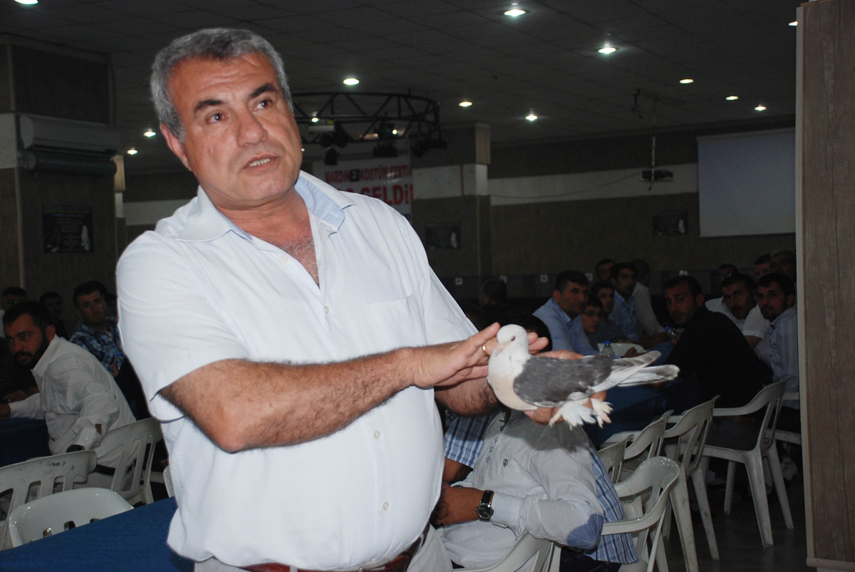 Mardin Güvercinleri Kıyasıya Yarıştı