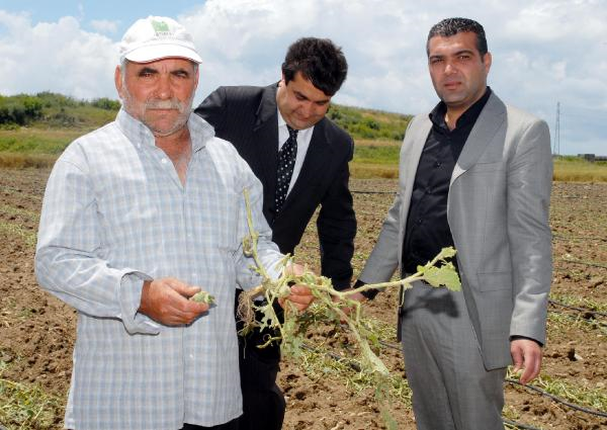 Serik\'te Dolu Tarım Alanlarına Zarar Verdi