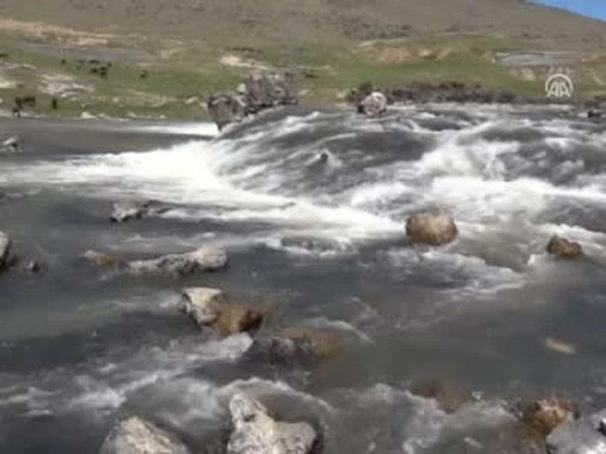 Van\'da "Uçan Balık" Zamanı