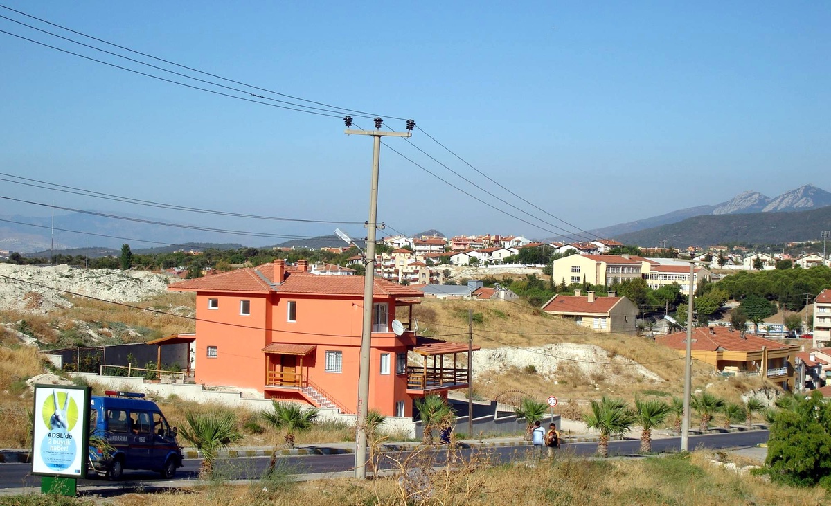 İzmir'de 11 Sokak Köpeği Kıyma ile Zehirlendi