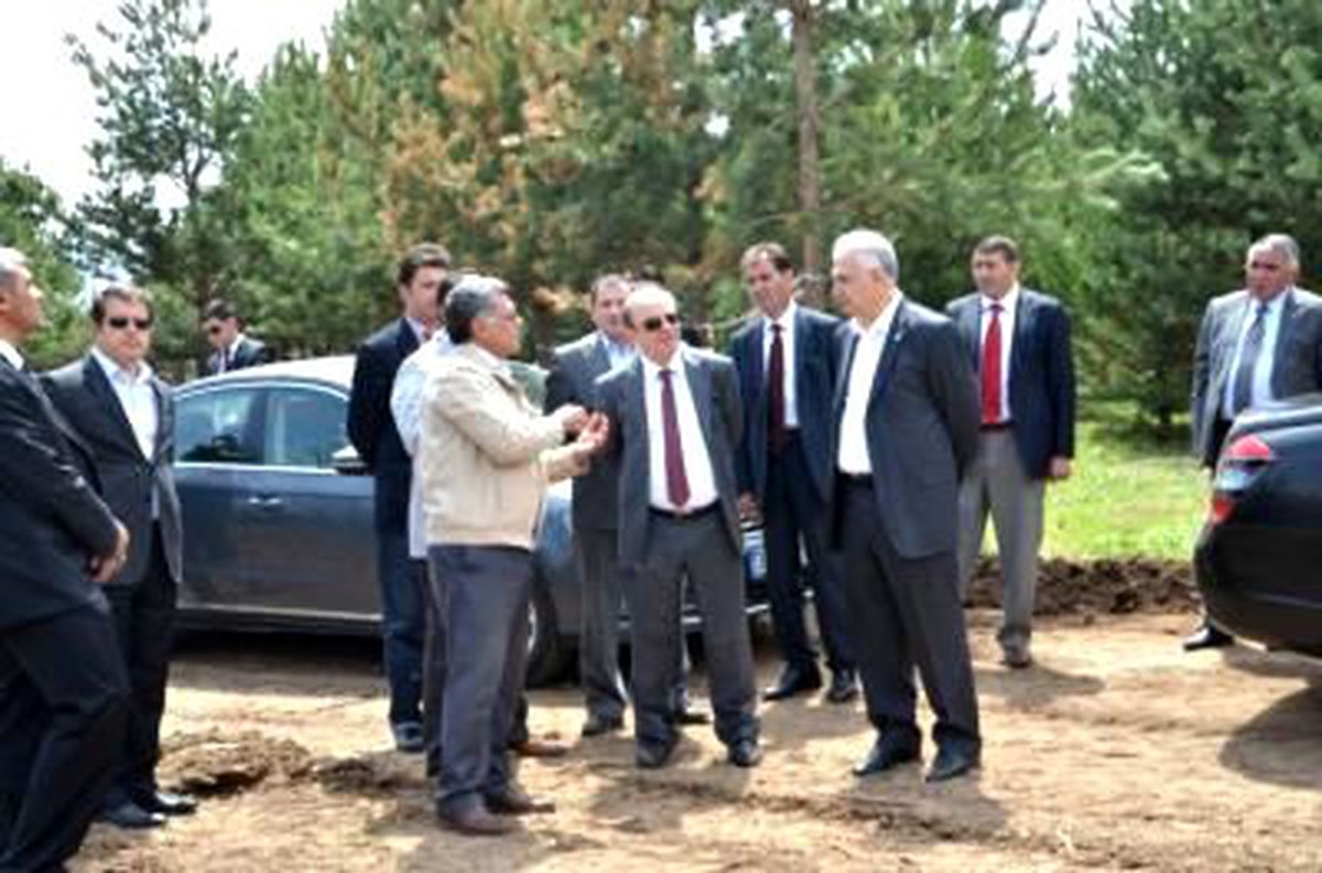 Atatürk Üniversitesi Yanan Ormanlık Alanı Ağaçlandırıyor