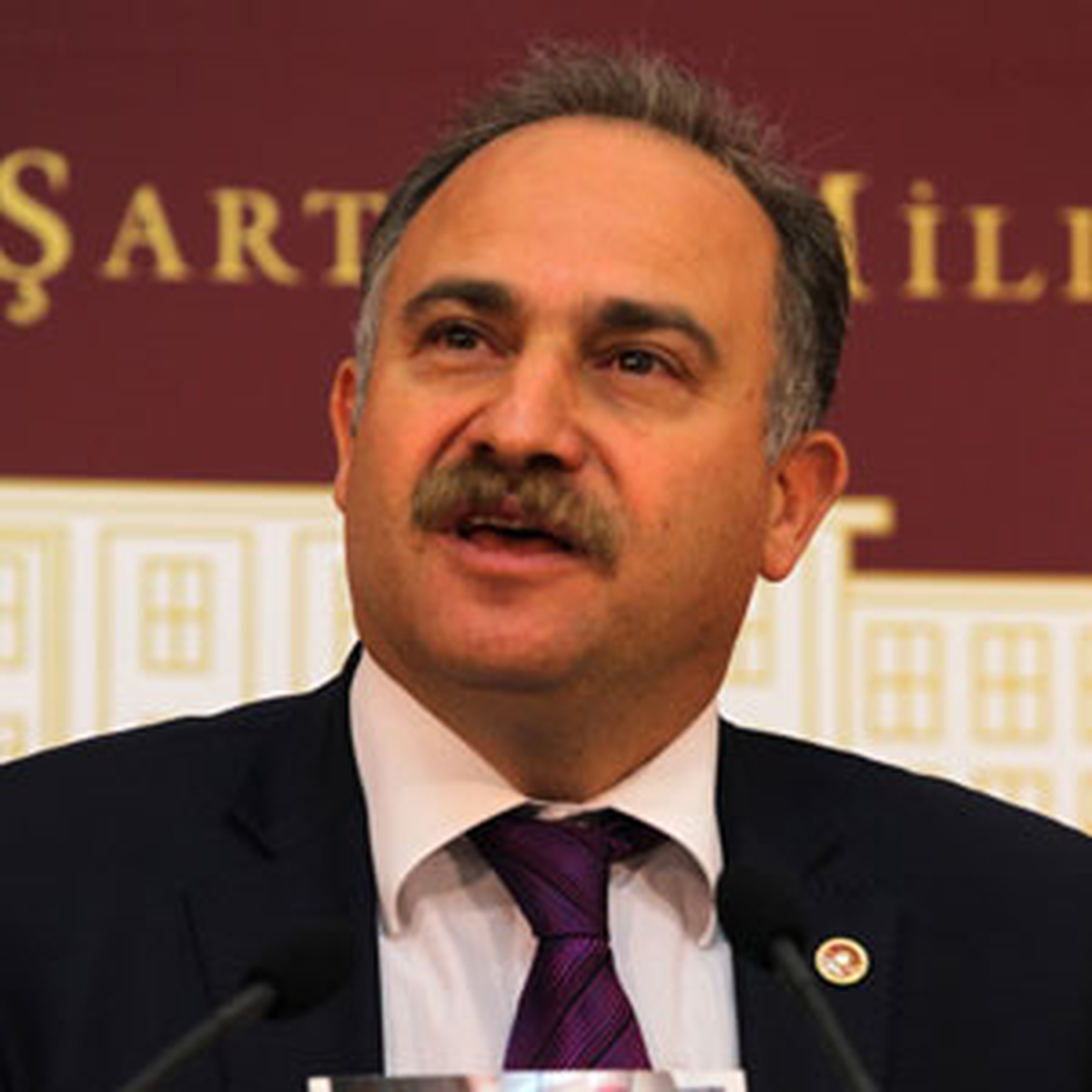 CHP'li Gök, Dikmen Vadisi Yıkımına AİHM Kararıyla Karşı Çıktı
