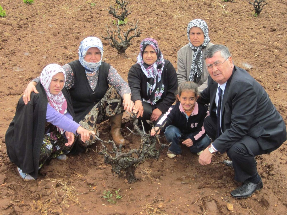 Keskin Sorun Dinliyor