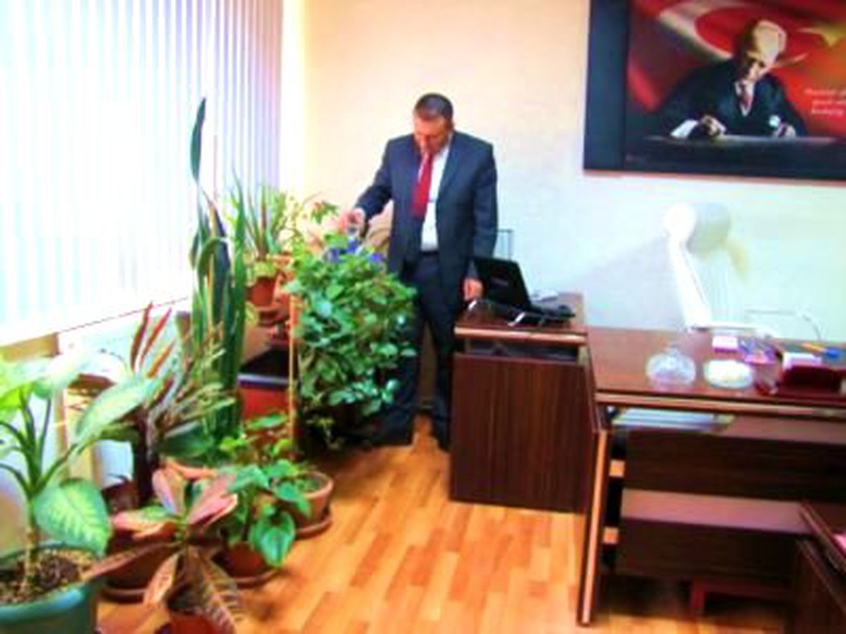 Tarım İlçe Müdürlüğü Botanik Çiçek Bahçesi Gibi