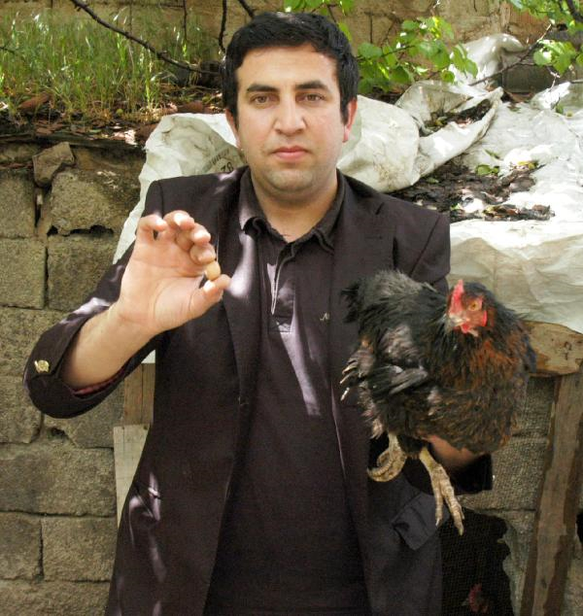 1,19 Gramlık Tavuk Yumurtası