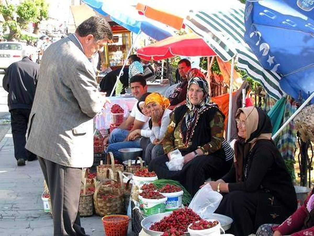 Bartın\'lı Çilek Üreticileri Reçel Fabrikası İstiyor