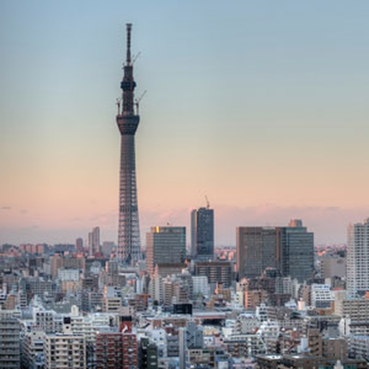 Dünyanın En Yüksek Kulesi, Tokyo'da