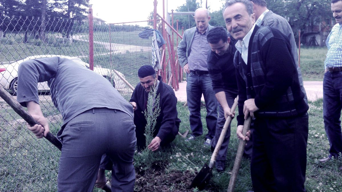 Düzce\'de Ağaçlandırma Yaygınlaşıyor