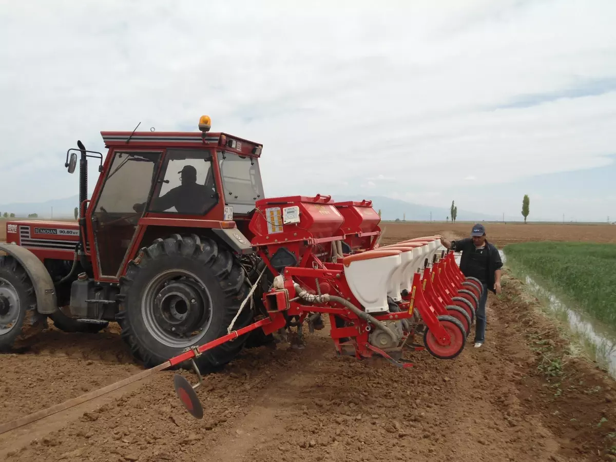 Ereğli'de Bitki Deseni Genişliyor