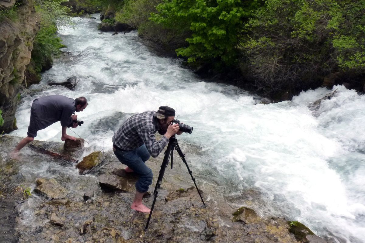 Gizli Cennetin Gür Sesi: Tomara